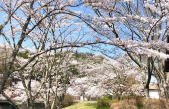 矢谷橋13-336x216.jpg 矢谷橋13-336x216.jpg