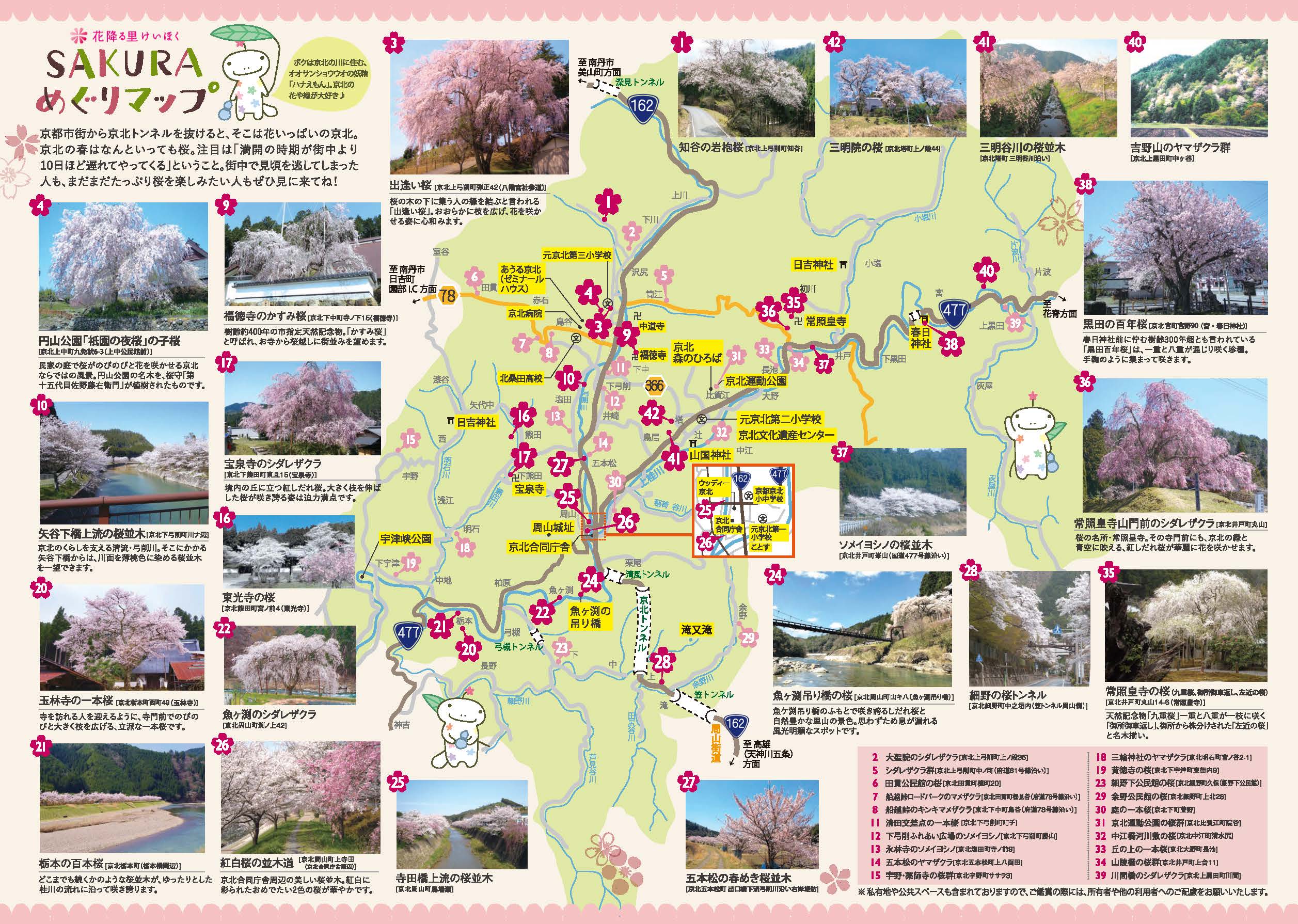 京北の春を巡ろう「SAKURAめぐりマップ2026」公開！ | いけいけけいほ